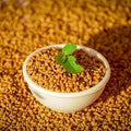 Fenugreek Seeds